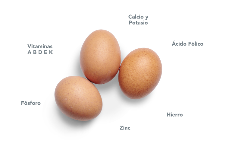 Huevo fresco L – Grandes de 63g a 73g – Gallinas en Suelo – Cartón 6 huevos.  – Huevos Inmaculada